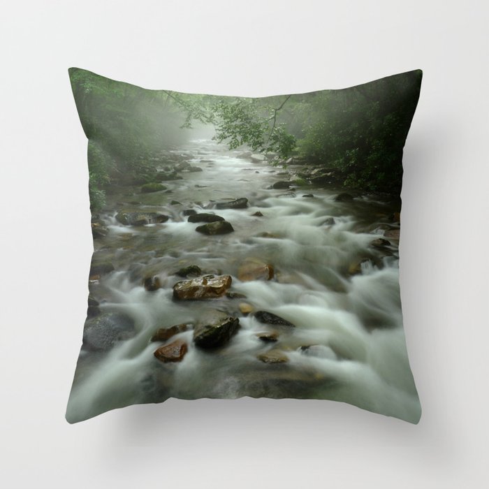 Big Creek, Great Smoky Mountains Throw Pillow