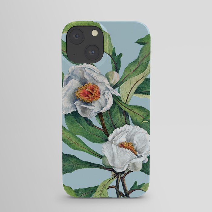 Franklin tree flowers iPhone Case