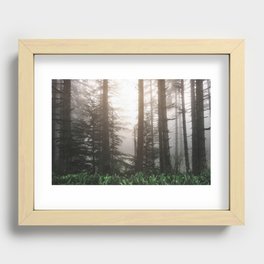 Pacific Northwest Forest Fog Adventures Recessed Framed Print