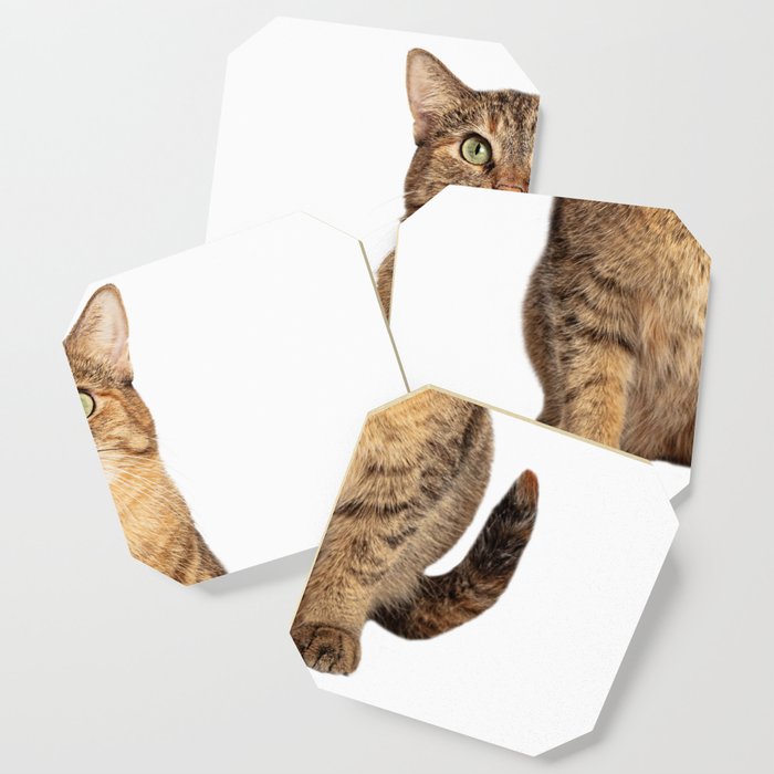 Beautiful cat picture Coaster