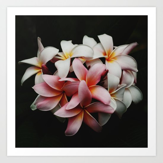 Flowers In The Dark Art Print