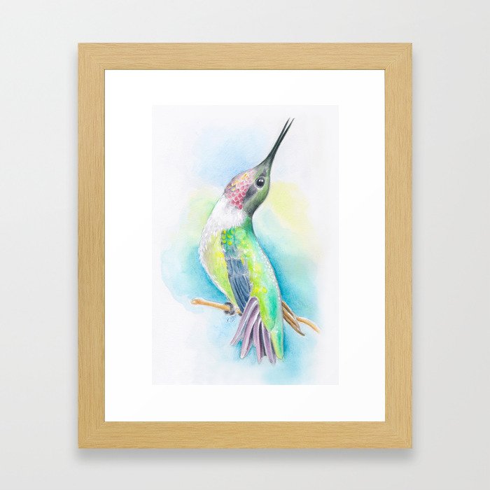 Singing Anna's Hummingbird Watercolor Art Framed Art Print
