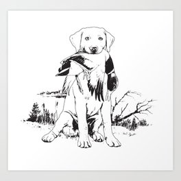 Young Hunting Labrador Art Print