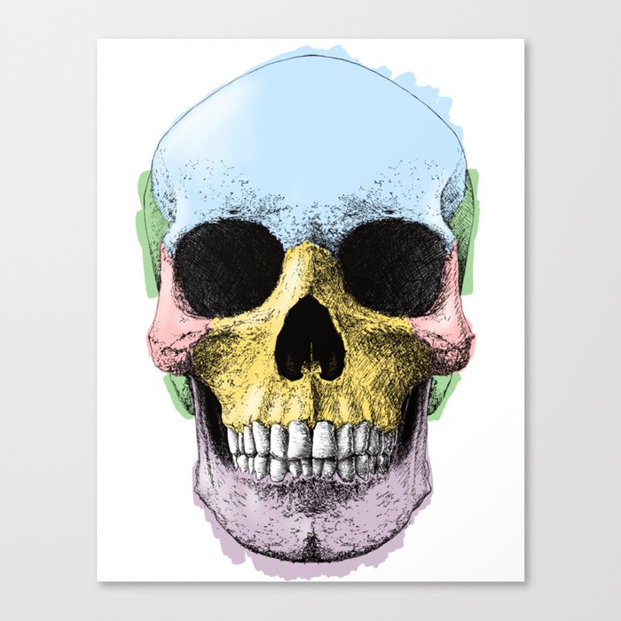 Coloured Skull Canvas Print