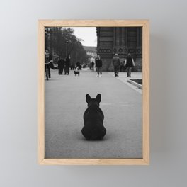 French Bulldog Framed Mini Art Print