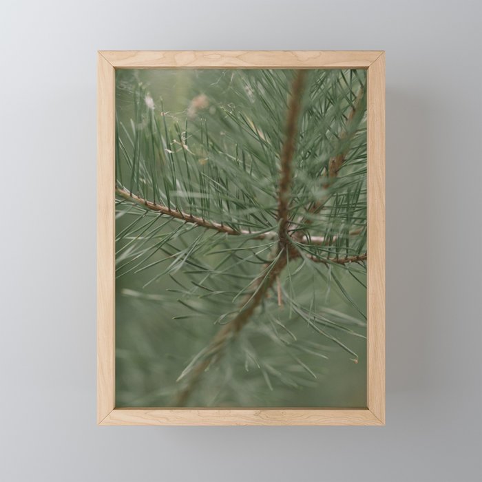 pine tree composition no.1 Framed Mini Art Print