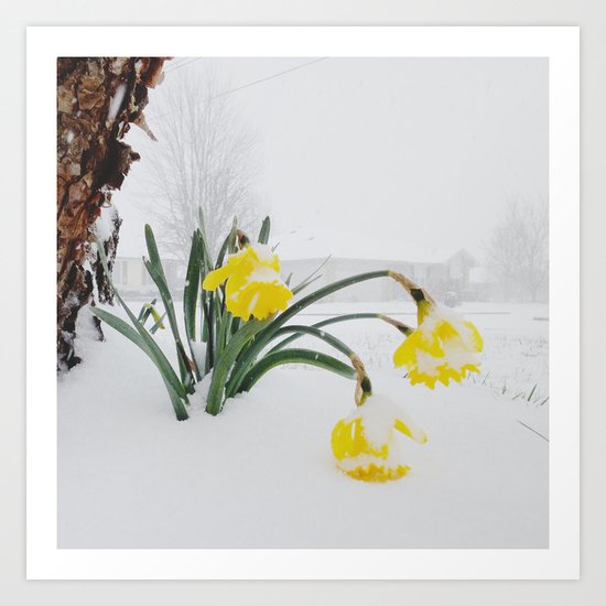 Spring Lost A Bet To Winter Art Print