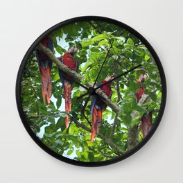 Tropical Birds Wall Clock