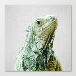 Iguana - Colorful Canvas Print