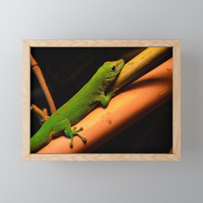 Geen lizard Framed Mini Art Print