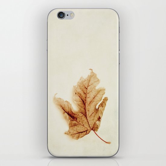 a simple leaf iPhone & iPod Skin