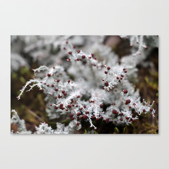 Life Form I Canvas Print