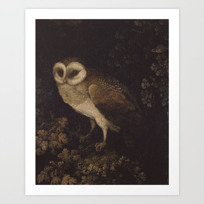 An Owl By Moses Haughton 1780 Funky Quirky Cute Cozy Boho Maximalism Maximalist Art Print