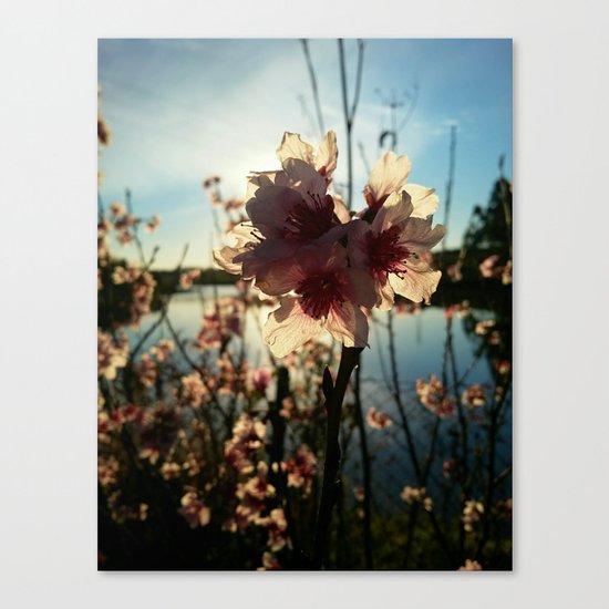 Floral Canvas Print