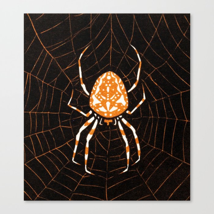Spider In A Web Canvas Print