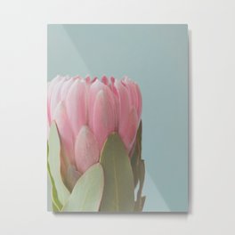 Pink Flower Metal Print | Eugenie, Colour, Colorful, Pink, Digital, Color, Photo, Blue, Floral, Close Up 
