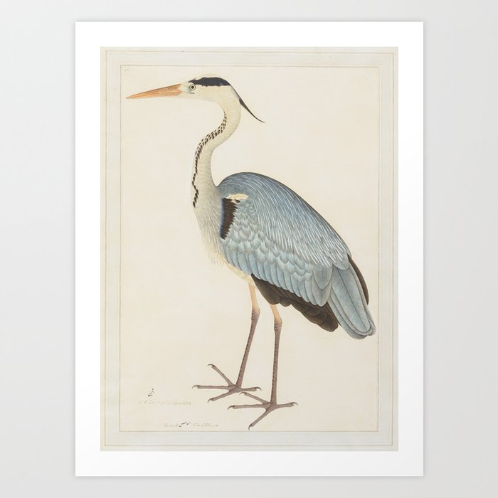 Grey Heron by Ram Das, 1782 Art Print