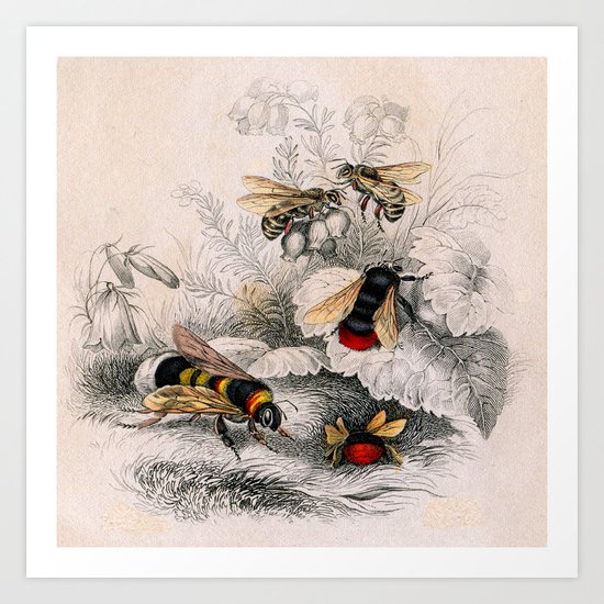 untitled Art Print