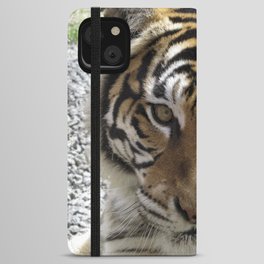 Nice Kitty - Tiger iPhone Wallet Case