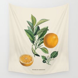 Orange Antique Botanical Illustration Wall Tapestry