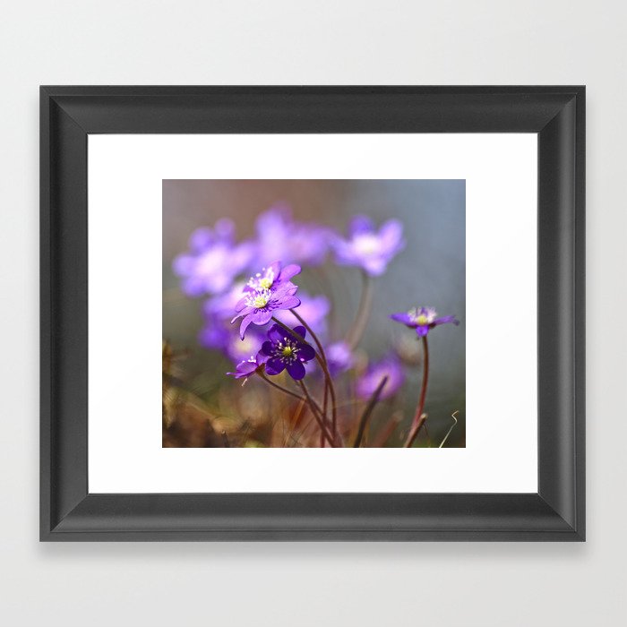 Purple Wild Flowers Spring Forest #decor #society6 #buyart Framed Art Print