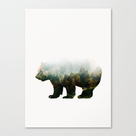 Colorado Forest Bear Canvas Print