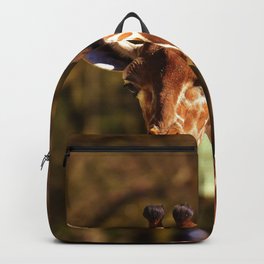 South Africa Photography - A Curious Girrafe Backpack