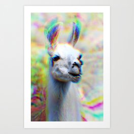 Cute Abstract Llama Portrait Alpaca Photo Art Print