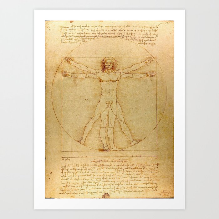 The Vitruvian Man 1405 (L Uomo Vitruviano) Leonardo da Vinci Artwork for Prints Posters Tshirts Men Art Print
