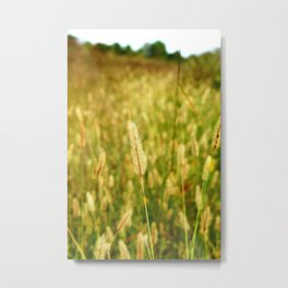 Grass Of The Field - Golden Harvest Metal Print