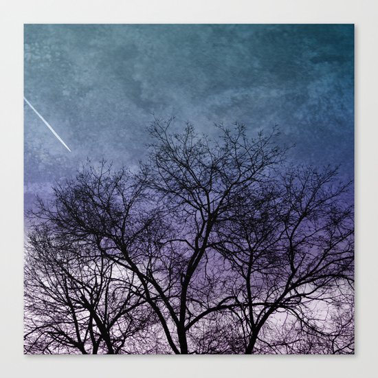 Winter dreams Canvas Print