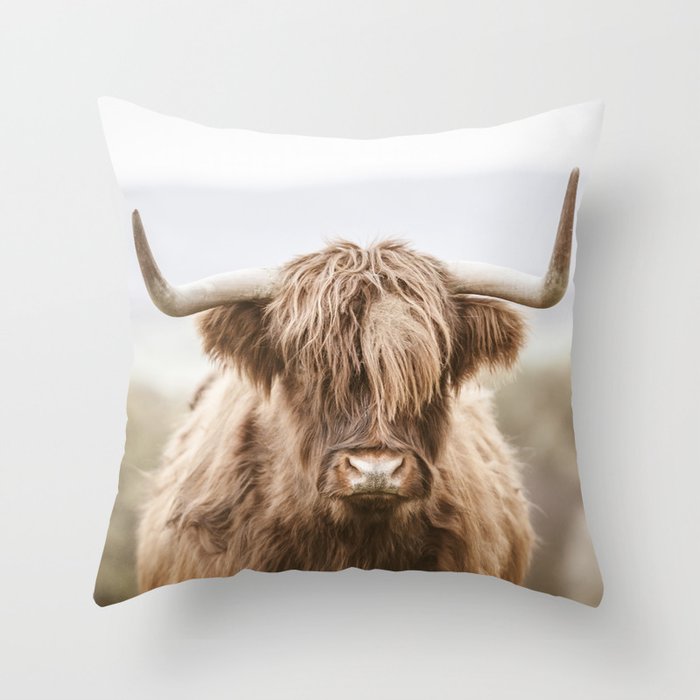 highland cattle pillow