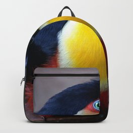 Brazil Photography - Wonderful Green-Billed Toucan Backpack