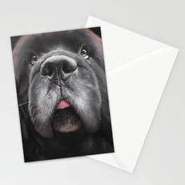 White Whiskers Stationery Cards