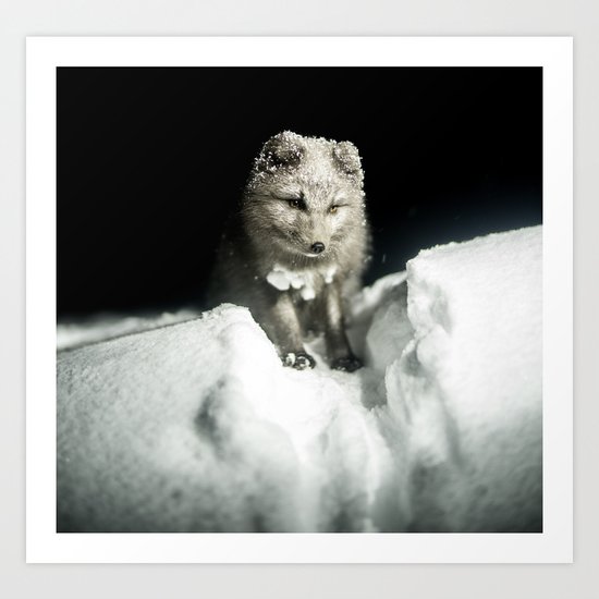 Baby wolf in the snow #animal #photography Art Print