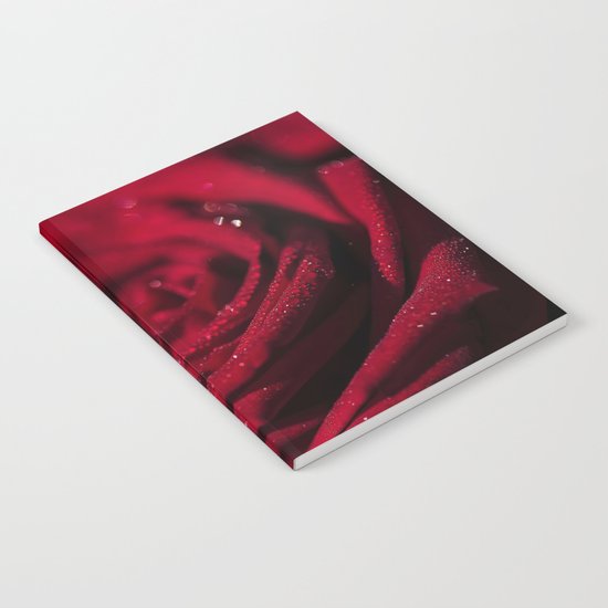 Fire-Red-Rose - Roses Flowers Notebook