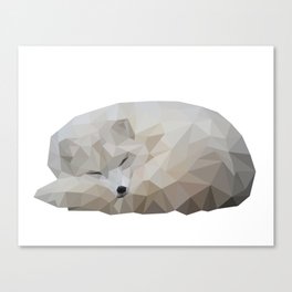 Arctic fox Canvas Print