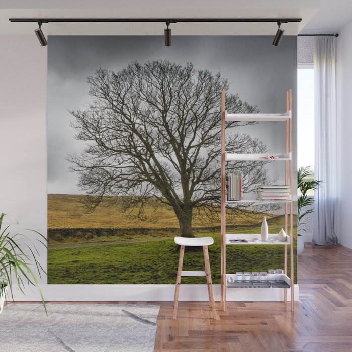 Single Tree In Stormy Weather Wall Mural By Davehare Society6