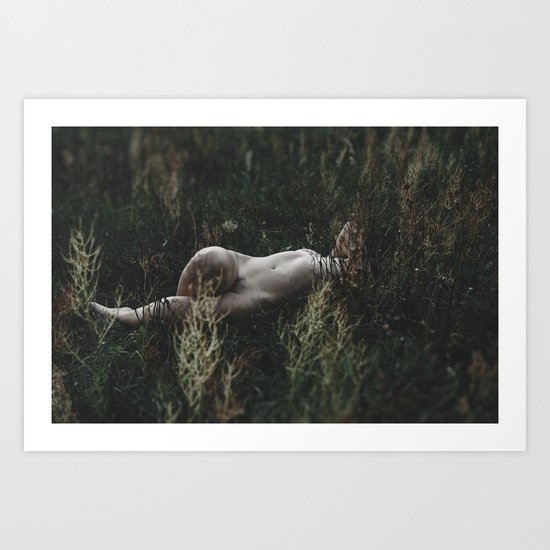_DSC3556 Art Print