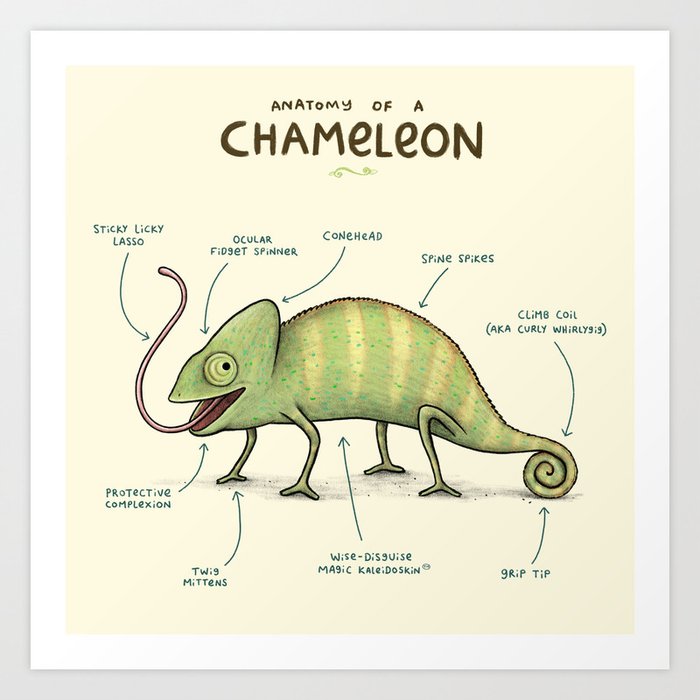 Anatomy of a Chameleon Art Print