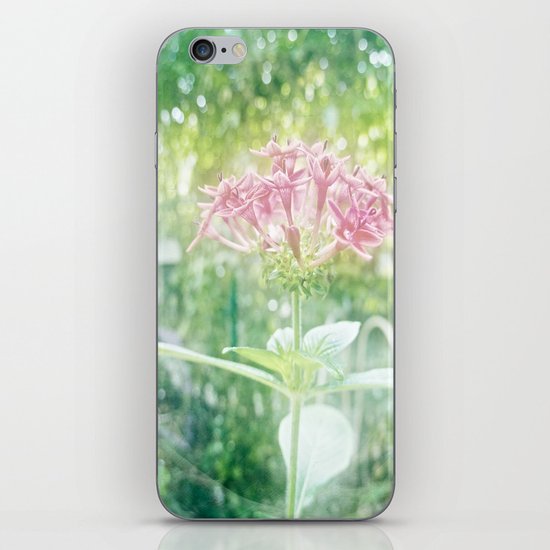Plucked from a Dream iPhone Skin
