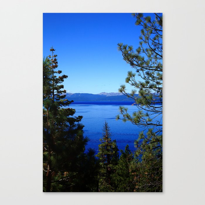 Lake Tahoe Thru Pine Trees 2008 #4 Canvas Print