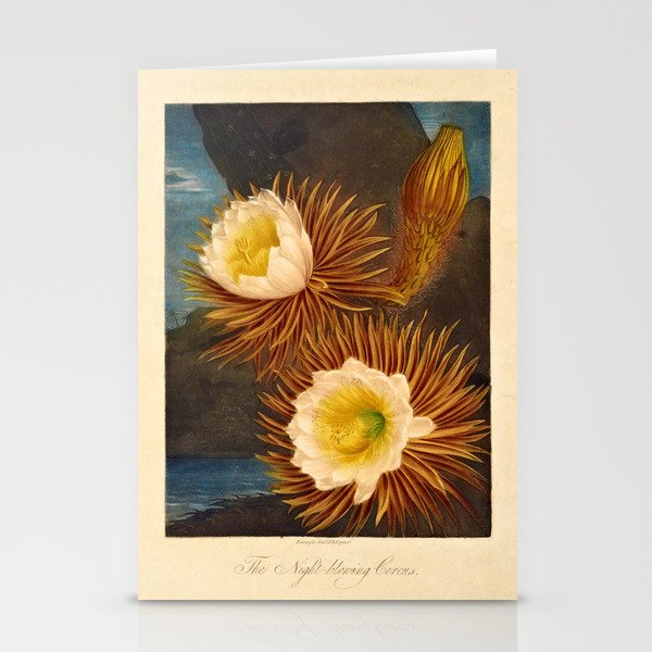 Night-Blooming Cereus from "The Temple of Flora," 1812 (benefitting The Nature Conservancy) Stationery Cards