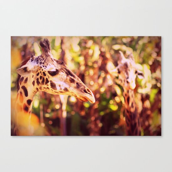 abstract with two giraffes Canvas Print