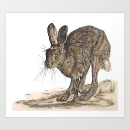 Hare II Art Print