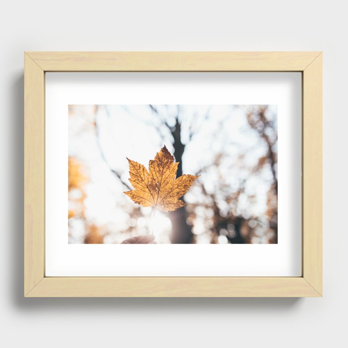 Autumn leaf Recessed Framed Print