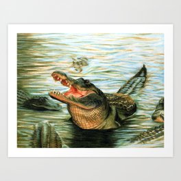 Adult Alligator Smiling Art Print