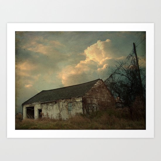 The Old Shed Art Print