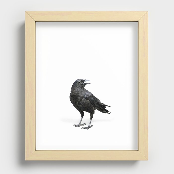 Black Crow Recessed Framed Print