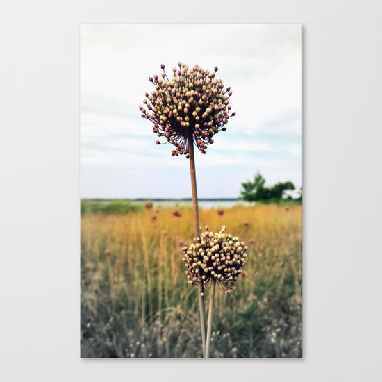 Yorktown "Onion" Canvas Print